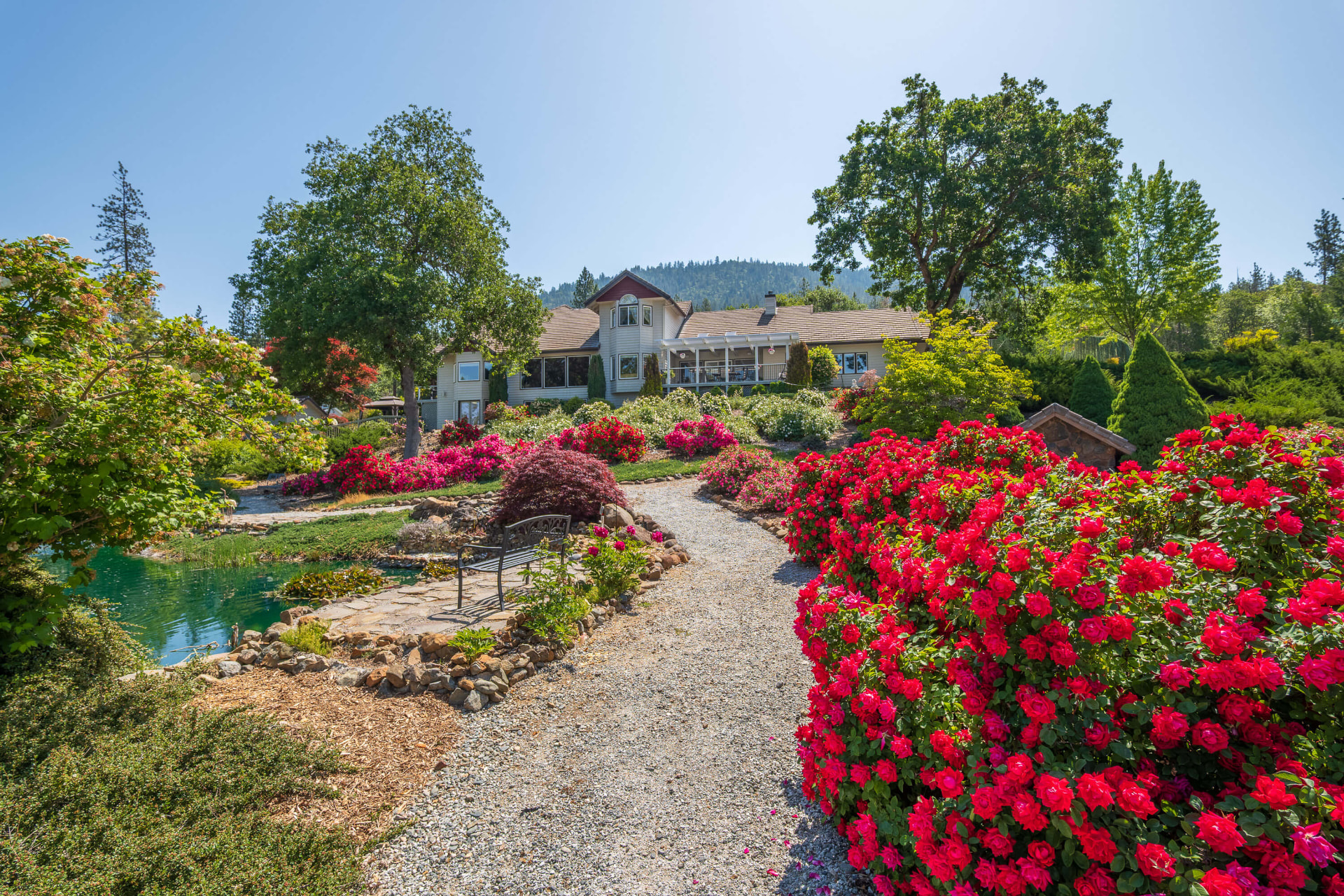 Gravel walking path bordered by a rose hedge, with a pond and bench at left